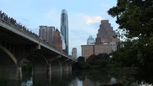 congress bridge bats austin