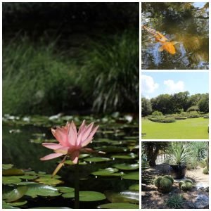 Jardín Botanico