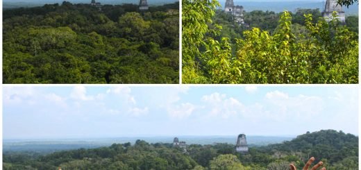 Temple of Tikal