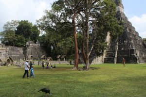 Tikal Mayan Ruins