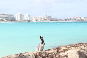 Paisajes en Cancun