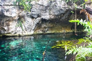 Cenote en tulum, méxico