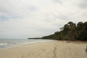 Puerto Viejo - Costa Rica