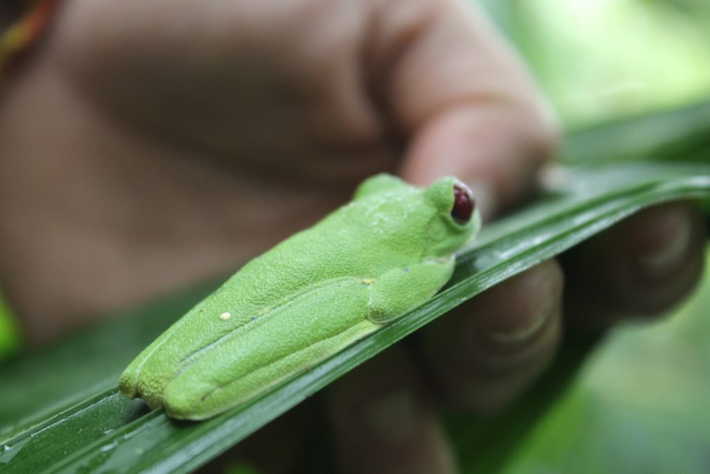 Puerto Viejo - Costa Rica