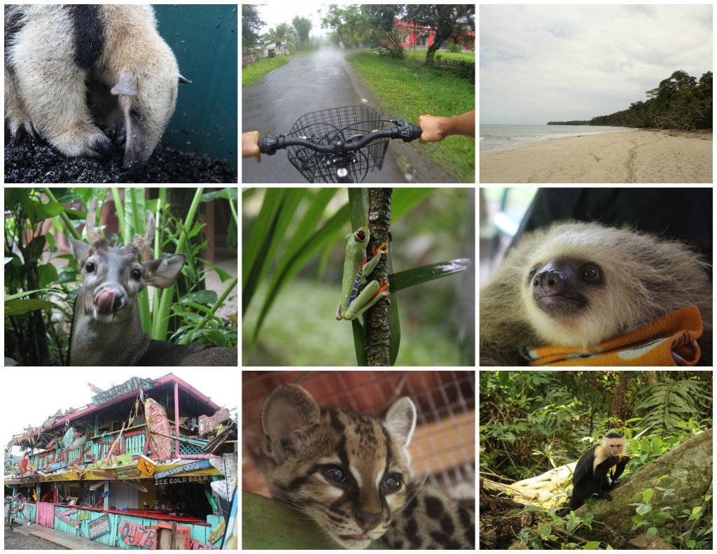 Puerto Viejo - Costa Rica