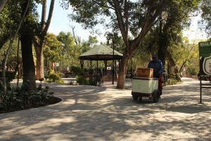 San Miguel de Allende park